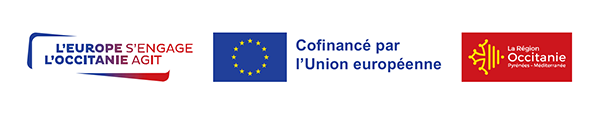 Logo FSE Région Occitanie_600x117