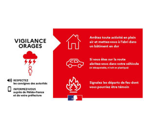 Ayons les bons réflexes