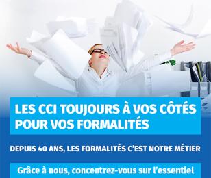 Guichet unique des formalités électroniques d’entreprise