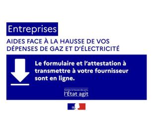 BOUCLIER TARIFAIRE et AMORTISSEUR ELECTRICITE