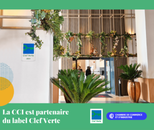 Clef Verte