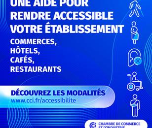  Accompagnement à la mise en accessibilité des établissements Recevant du public 