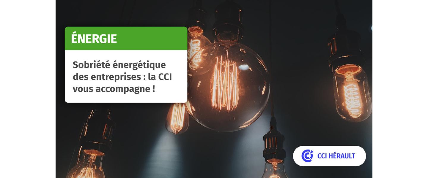 Plan de sobriété énergétique pour les entreprises