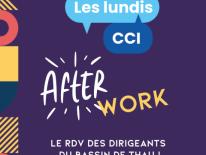 Les Lundis CCI - L’Afterwork réseautage des dirigeants du Bassin de Thau