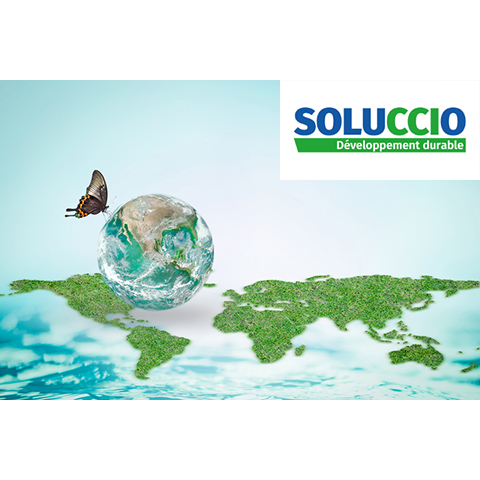 Newsletter Qualité Santé Environnement, le point de vue des CCI d'Occitanie